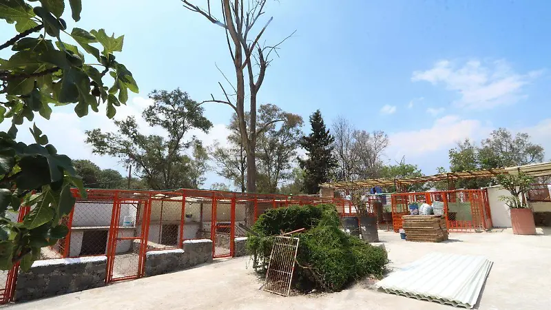 Refugio Franciscano 